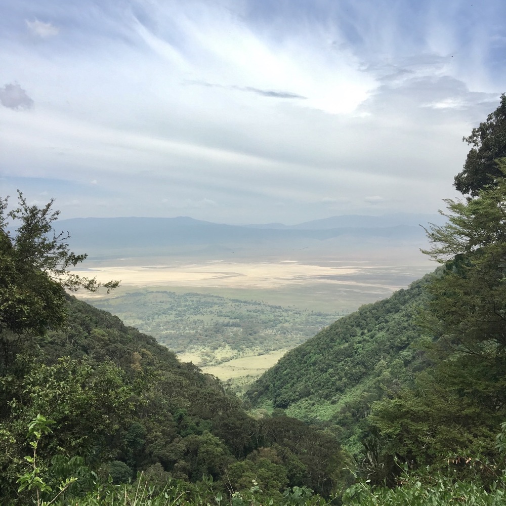 Meet your Posher, Aj